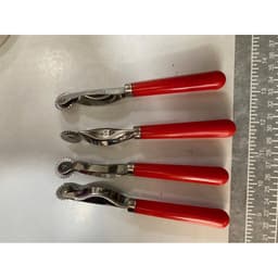 Cây lăn lấy dấu vải 2