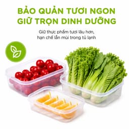 Bộ Hộp Thực Phẩm Chữ Nhật Để Đồ Ăn Tủ Lạnh Hokori 6533 GD292 - Bộ Hộp Nhựa Đựng Thực Phẩm Nắp Cao Su 3