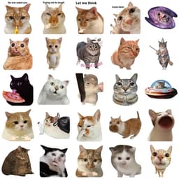 Nhãn Dán Mèo Meme Cute Decal Chống Nước Trang Trí Cho Laptop Vali Bình Nước Mũ Bảo Hiểm Xe Máy 2