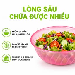Set 10 Bát Tô Nhựa Lòng Sâu Việt Nhật 6819 Đựng Thực Phẩm Rau Củ Trái Cây GD341 4