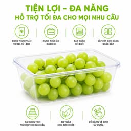 Set 10 Hộp Đựng Thực Phẩm 6637 Việt Nhật Có Nắp Đậy Kín GD343 - Hộp Thực Phẩm Trong Suốt Có Nắp Kín 4