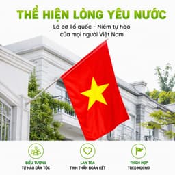 Lá Cờ Quốc Kỳ Việt Nam Lễ Tết Đại Hội 80x120cm GD299 - Cờ Tổ Quốc Gia Đình Treo Tường Diễu Hành 5