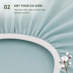 Bộ Ga Gối Thun Hàn Quốc 4 Món Aniva Bedding | Ga Chun Ôm Co Giãn 4 Chiều Mềm Mại Thoáng Mát + 1 Vỏ Gối Ôm Khóa Kéo 3