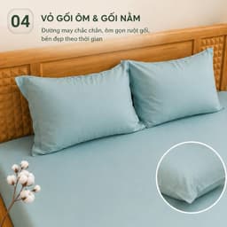 Bộ Ga Gối Thun Hàn Quốc 4 Món Aniva Bedding | Ga Chun Ôm Co Giãn 4 Chiều Mềm Mại Thoáng Mát + 1 Vỏ Gối Ôm Khóa Kéo 5