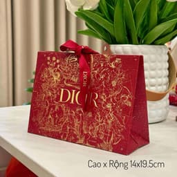 Túi Giấy Các Mẫu 4