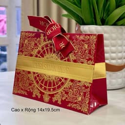 Túi Giấy Các Mẫu 5
