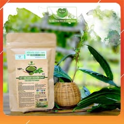 BỘT TRÀ XANH NGUYÊN CHẤT (100gr) 1