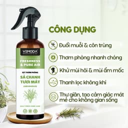 Combo 5 chai Xịt phòng tinh dầu Greenco 250ml tặng 1 chai 4