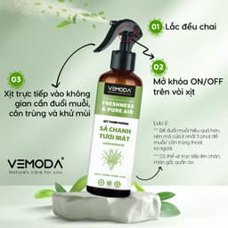 Combo 5 chai Xịt phòng tinh dầu Greenco 250ml tặng 1 chai 3