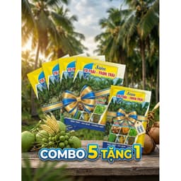 SIÊU DƯỠNG DỪA GIÚP TO TRÁI, LỚN TRÁI, TĂNG ĐẬU TRÁI, HẠN CHẾ RỤNG HOA VÀ TRÁI NON GÓI 35GR 3