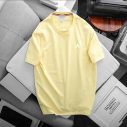 Áo thun nam basic màu pastel chất cotton cao cấp form suông bigisze 130kg - 3bros 8