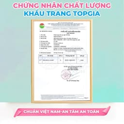(QUÀ TẶNG) Khẩu trang 5D cải tiến TopGia túi 20 cái an toàn, 3 lớp vải không dệt cao cấp màu đen 6
