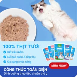 Pate Cho Mèo MR.VET Combo TIẾT KIỆM 48 Gói 70G 51% Thịt, Bổ Sung Protein,Taurine - MÉO CHÒ UNI 3
