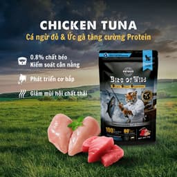 [COMBO 6 -12 GÓI MIX VỊ] Pate Bite of Wild GÓI 70G Công Thức Sữa Dê, Nguồn Đạm Tự Nhiên MÉO CHÒ UNI 8