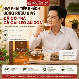 Trà Túi Lọc Cà Gai Leo An Xoa Mộc Tâm 30 Gói x 3g – Thảo Mộc Dễ Uống, Tiện Lợi Mỗi Ngày 3