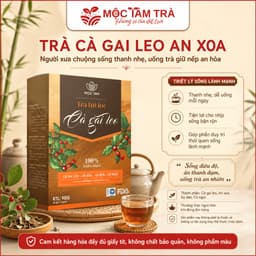 Trà Túi Lọc Cà Gai Leo An Xoa Mộc Tâm 30 Gói x 3g – Thảo Mộc Dễ Uống, Tiện Lợi Mỗi Ngày 5