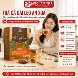 Trà Túi Lọc Cà Gai Leo An Xoa Mộc Tâm 30 Gói x 3g – Thảo Mộc Dễ Uống, Tiện Lợi Mỗi Ngày 8
