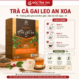 Trà Túi Lọc Cà Gai Leo An Xoa Mộc Tâm 30 Gói x 3g – Thảo Mộc Dễ Uống, Tiện Lợi Mỗi Ngày 4