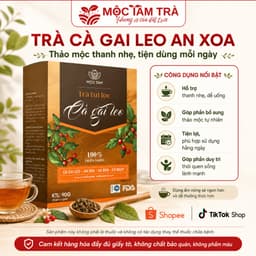 Trà Túi Lọc Cà Gai Leo An Xoa Mộc Tâm 30 Gói x 3g – Thảo Mộc Dễ Uống, Tiện Lợi Mỗi Ngày 7