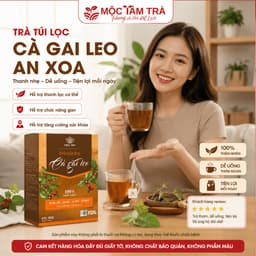 Trà Túi Lọc Cà Gai Leo An Xoa Mộc Tâm 30 Gói x 3g – Thảo Mộc Dễ Uống, Tiện Lợi Mỗi Ngày 2