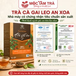 Trà Túi Lọc Cà Gai Leo An Xoa Mộc Tâm 30 Gói x 3g – Thảo Mộc Dễ Uống, Tiện Lợi Mỗi Ngày 6