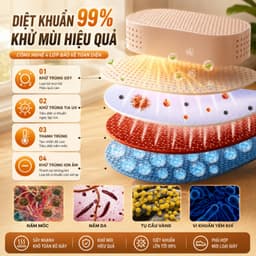 Máy Sấy Giày Gập Gọn Thông Minh, Sấy Nhanh Ổn Định Nhiệt, Khử Mùi Diệt Khuẩn UV 5