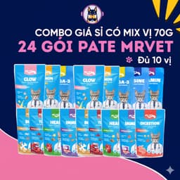 [COMBO TIẾT KIỆM 24 GÓI MIX VỊ] Pate Cho Mèo Gói 70G 51% Thịt, Bổ Sung Dinh Dưỡng-MÉO CH 1