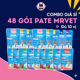 Pate Cho Mèo MR.VET Combo TIẾT KIỆM 48 Gói 70G 51% Thịt, Bổ Sung Protein,Taurine - MÉO CHÒ UNI 1