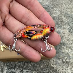 Combo mồi câu lure đa năng, câu nổi- lửng- đáy 5