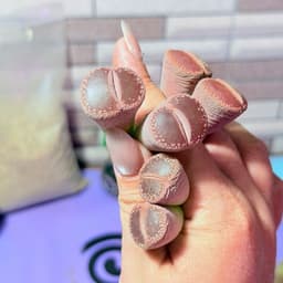 [mieugarden] Sen mông - lithops - thạch lan đầu đôi (2 đầu) nhiều dòng size to 1.8-2cm/đầu 7