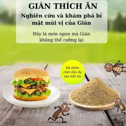 Thuốc Diệt Gián NR Dạng Bột - Hiệu Quả Diệt Kiến Nhanh Chóng, An Toàn Tận Gốc 5