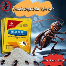 Thuốc Diệt Gián NR Dạng Bột - Hiệu Quả Diệt Kiến Nhanh Chóng, An Toàn Tận Gốc 1