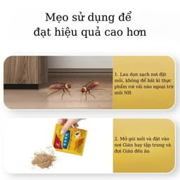 Thuốc Diệt Gián NR Dạng Bột - Hiệu Quả Diệt Kiến Nhanh Chóng, An Toàn Tận Gốc 2