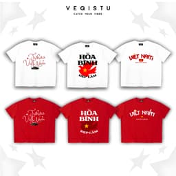 Áo thun BOXY Local Brand VEQISTU "Việt Nam" Áo Thun Boxy Form Rộng Unisex Nam Nữ Tay Ngắn  250Gsm Cotton 1