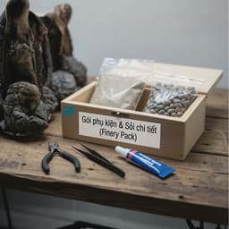 Bộ Kit Tự Setup Layout Thuỷ Sinh Rừng Ver.16 Tại Nhà | Layout Thuỷ Sinh Module Thương Hiệu RF Aquarium 5