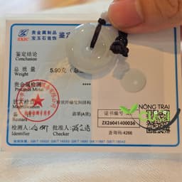 Khấu Bình An Cam Thach Lam Thiên type A - Nông Trại Cười 5
