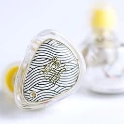 (Gear Việt) Tai nghe nhét tai In Ear IEM Tangzu Wan'er SG 2 bản tiêu chuẩn đen và trắng 4