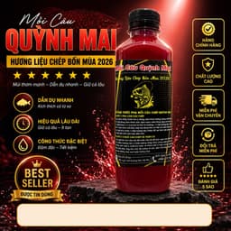 HƯƠNG LIỆU CHÉP VIP QUỲNH MAI TỔNG HỢP 13 VỊ SIÊU THƠM SIÊU ĐẬM ĐẶC BẢN MỚI NHẤT 2026 1