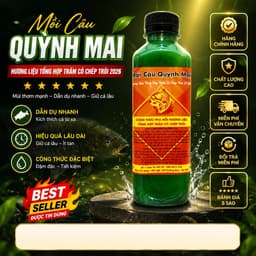 HƯƠNG LIỆU TỔNG HỢP TRẮM CHÉP MÙA HÈ 2026 1