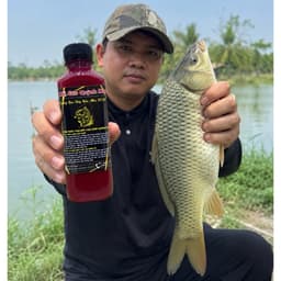 HƯƠNG LIỆU CHÉP VIP QUỲNH MAI TỔNG HỢP 13 VỊ SIÊU THƠM SIÊU ĐẬM ĐẶC BẢN MỚI NHẤT 2026 9