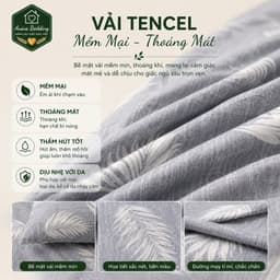 Bộ Chăn Ga Gối Lụa Tencel 5 Món Aniva Bedding 1m6x2m - Ga Bọc Nệm Cao 5-25cm, Mền 200x220cm, Vỏ Gối Ôm Khóa Kéo 3