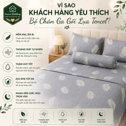 Bộ Chăn Ga Gối Lụa Tencel 5 Món Aniva Bedding 1m6x2m - Ga Bọc Nệm Cao 5-25cm, Mền 200x220cm, Vỏ Gối Ôm Khóa Kéo 5