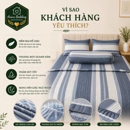 Bộ Chăn Ga Gối Lụa Tencel 5 Món Aniva Bedding 1m8x2m - Ga Bọc Nệm Cao 5-25cm, Mền 200x220cm, Mềm Mại Thoáng Mát 6