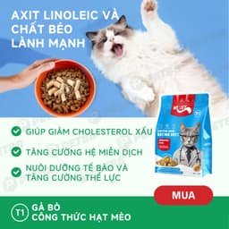 Combo hạt MRVET 1KG + 6lon pate 400g hỗ trợ phát triển toàn diện cho mèo mọi lứa tuổi-Méo Chò Uni 4