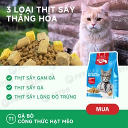 Combo hạt MRVET 1KG + 6lon pate 400g hỗ trợ phát triển toàn diện cho mèo mọi lứa tuổi-Méo Chò Uni 7