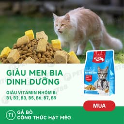 Combo hạt MRVET 1KG + 6lon pate 400g hỗ trợ phát triển toàn diện cho mèo mọi lứa tuổi-Méo Chò Uni 8