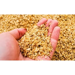10 túi Vỏ trấu đã xử lí an toàn cho cây trồng vật nuôi cải tạo đất giữ ẩm làm giá thể trồng cây ươm cây ủ phân hữu cơ 1