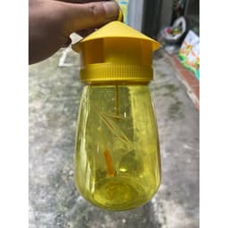 Lồng bẫy ruồi vàng kèm tinh dầu dẫn dụ ,lồng bẫy côn trùng gây hại cho hoa màu không độc hại 2