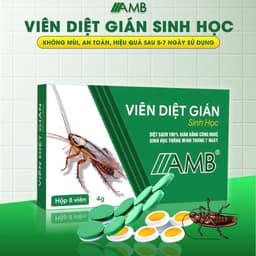 Viên Diệt Gián Sinh Học AMB, Diệt Tận Gốc Tất Cả Loại Gián Hiệu Quả An Toàn Không Mùi Công Nghệ Sinh Học Thông Minh - QV 9