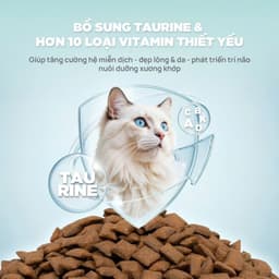 Combo hạt PETQ 1KG+6 lon pate MRVET 400g phát triển toàn diện cho mèo mọi lừa tuổi-Méo Chò Uni 3
